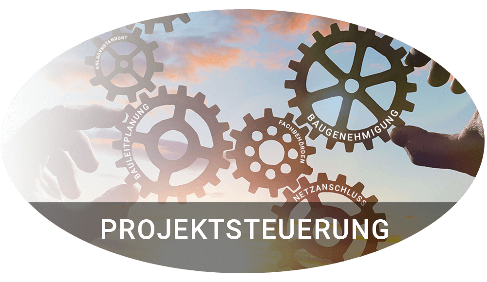 Projektentsteuerung